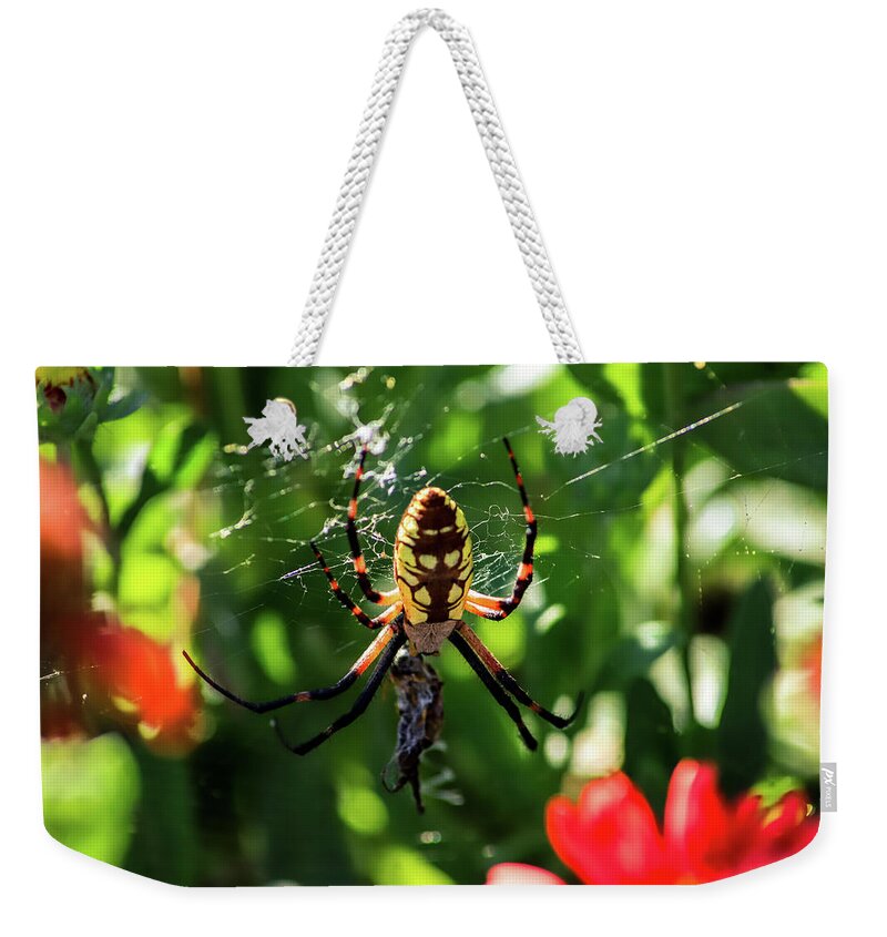 Insects Weekender Tote Bag featuring the photograph Spider Feast by Marcus Jones