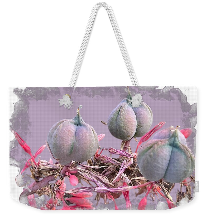 Spider Flower Fruit Photograph Border Purple Red Dried Black Pink Grey Scalloped Peach Iphone Ipad-air Sandiego California Weekender Tote Bag featuring the digital art Spider Flower Fruit by Kathleen Boyles