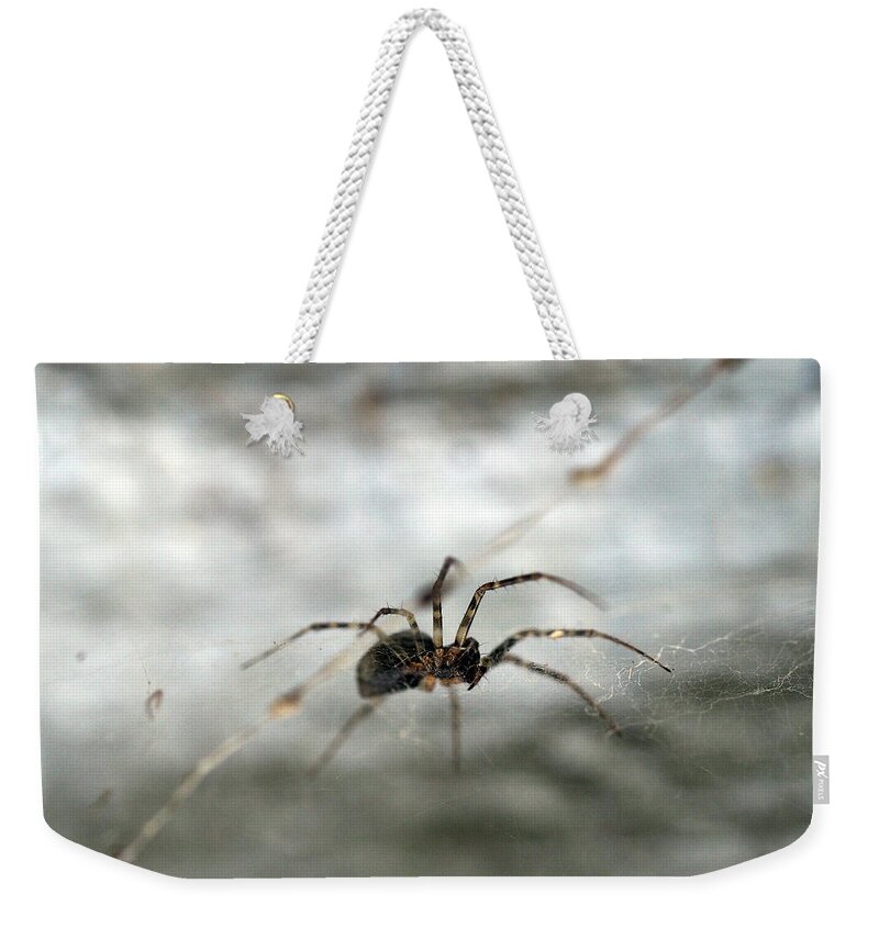 Spider Weekender Tote Bag featuring the painting Spider on its web by Sv Bell