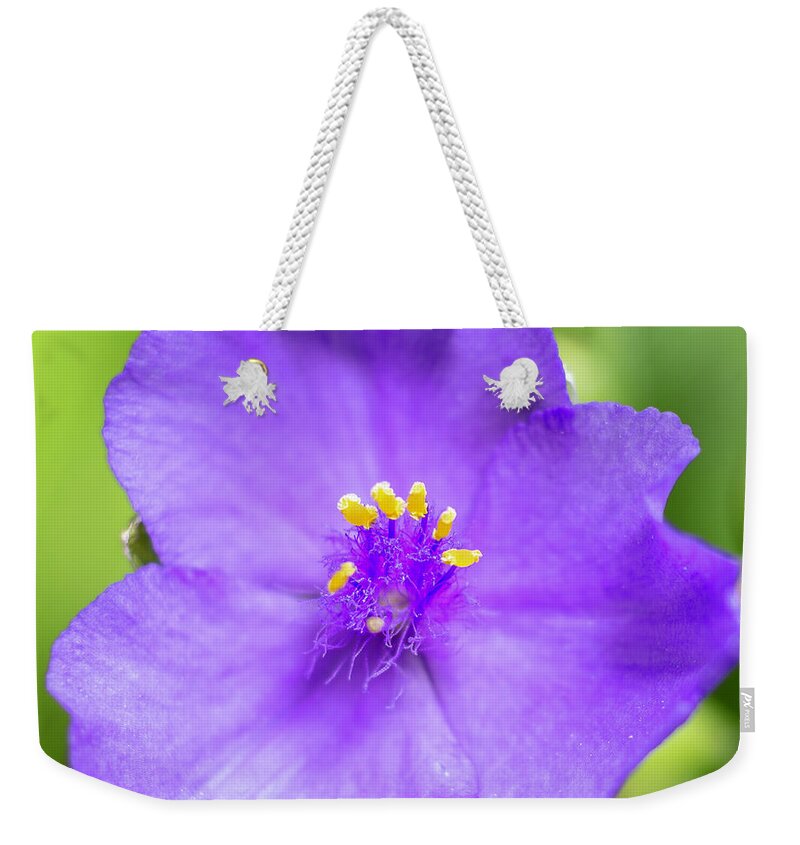 Amethyst Kiss Weekender Tote Bag featuring the photograph Spiderwort Amethyst Kiss Tradescantia by Gemma Mae Flores Sellers