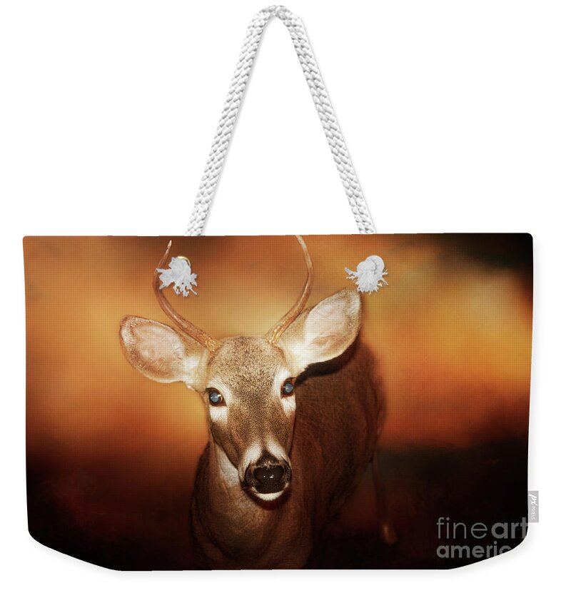 Deer Weekender Tote Bag featuring the photograph Spikes Place in Time by Janie Johnson