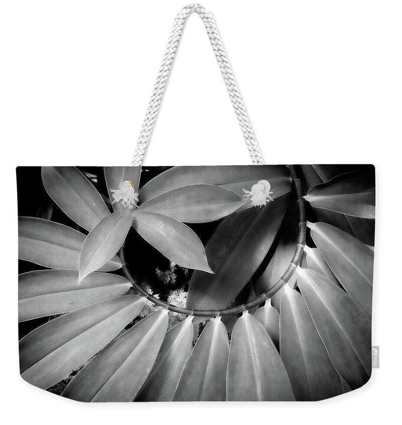 Black & White Weekender Tote Bag featuring the photograph Spiraling Alignment by Vicky Edgerly