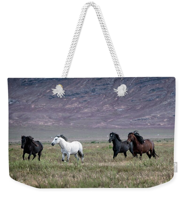 Horse Weekender Tote Bag featuring the photograph Spirit of the Free by Jeanette Mahoney