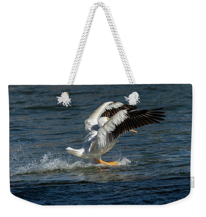 American White Pelican Weekender Tote Bag featuring the photograph Splash Down 2016 by Thomas Young