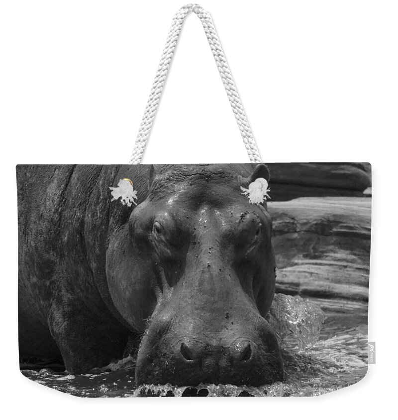 Hippo Weekender Tote Bag featuring the photograph Splash by Nirav Shah