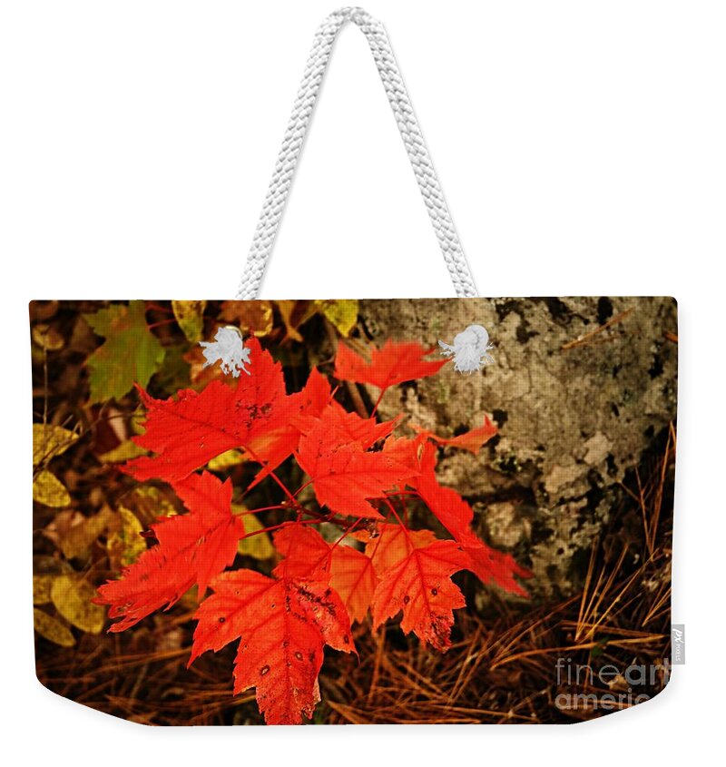 Landscape Weekender Tote Bag featuring the photograph Splash of Autumn by Larry Ricker