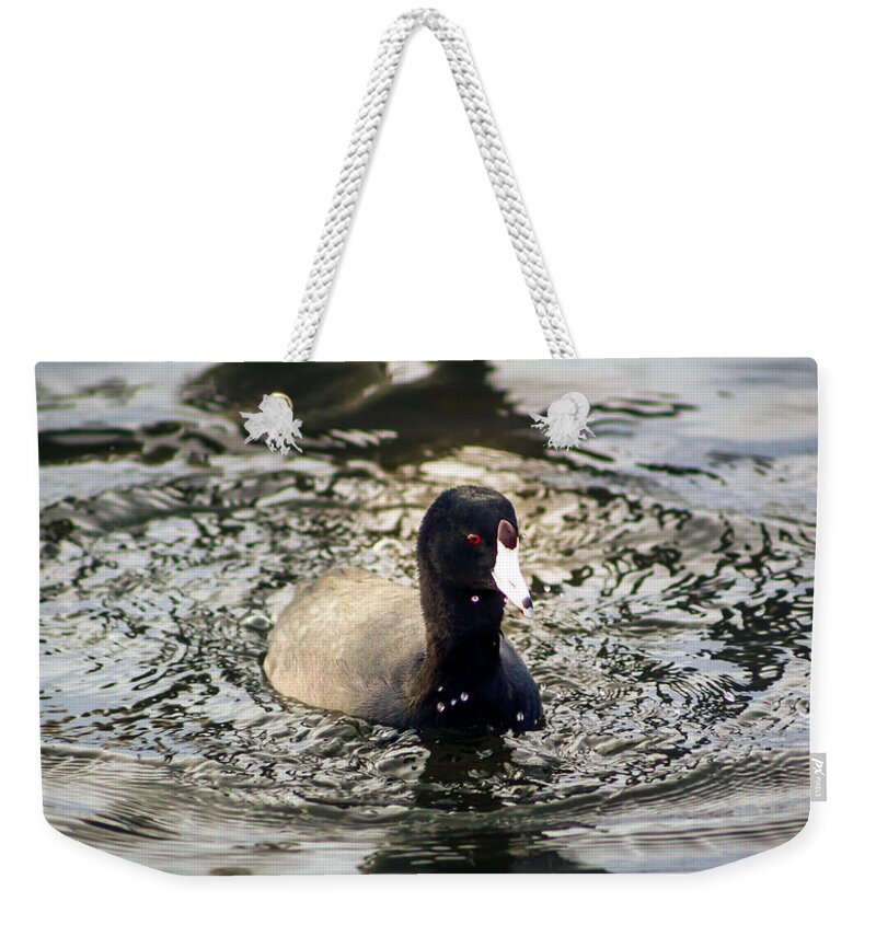 Coot Weekender Tote Bag featuring the photograph Splashing Coot by Sea Change Vibes