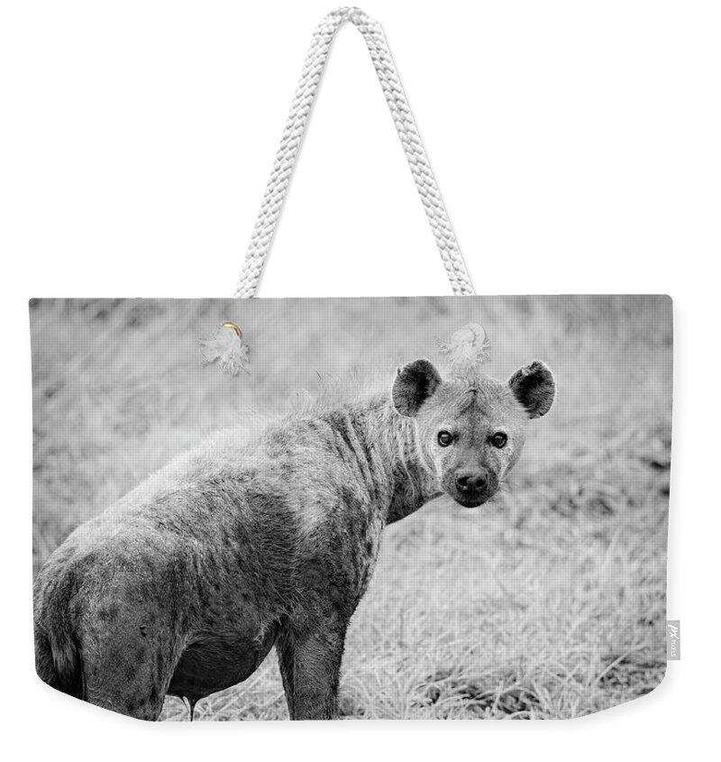 Carnivores Weekender Tote Bag featuring the photograph Spotted Hyena by Maresa Pryor-Luzier