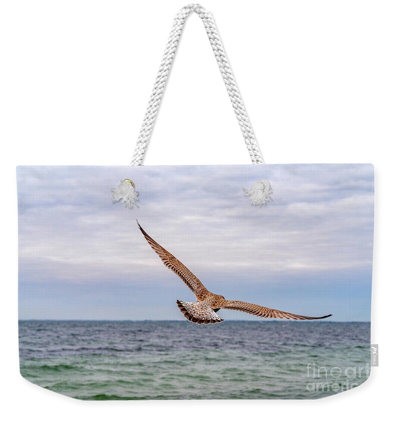 Birds Weekender Tote Bag featuring the photograph Spread your Wings... and fly away. by Daniel M Walsh