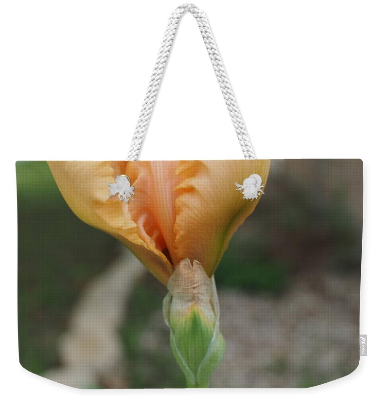 Orange Weekender Tote Bag featuring the photograph Spring Bloom 11 by C Winslow Shafer