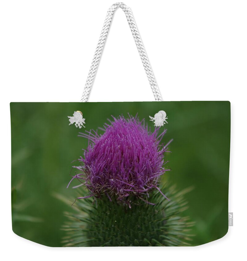 Flowers Weekender Tote Bag featuring the photograph Spring Bloom by Pour Your heART Out Artworks
