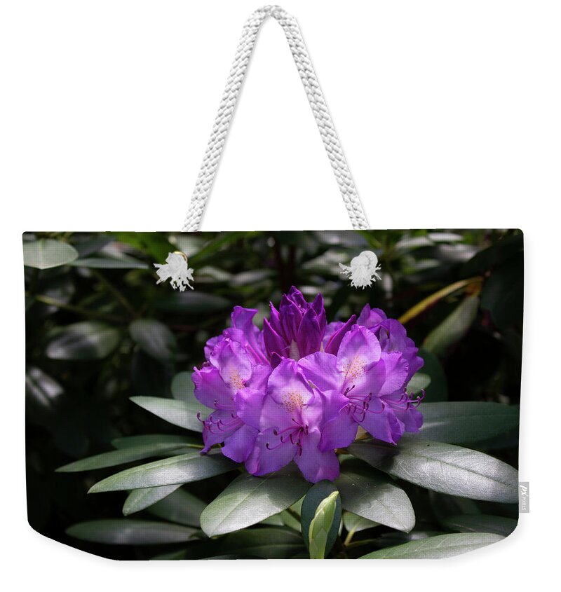 Close Up Color Photography Of A Rhododendron Blossom. Weekender Tote Bag featuring the photograph Spring Blossom by Geoff Jewett
