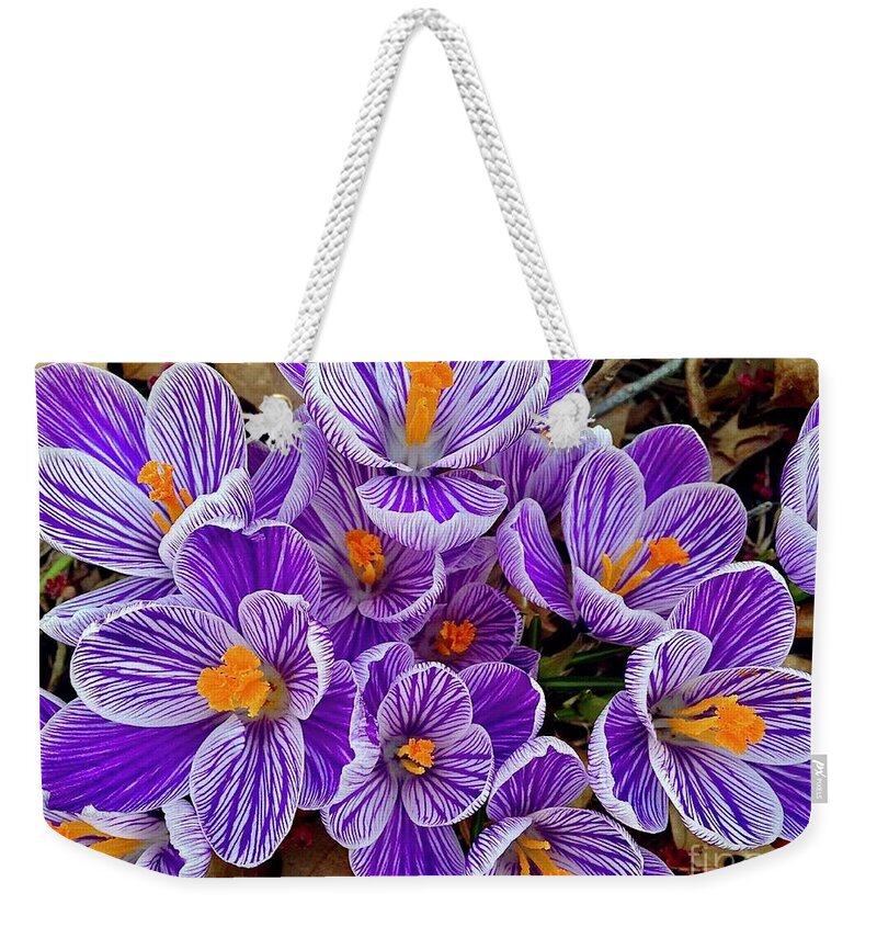 Spring Crocus Weekender Tote Bag featuring the digital art Spring Crocus by Tammy Keyes