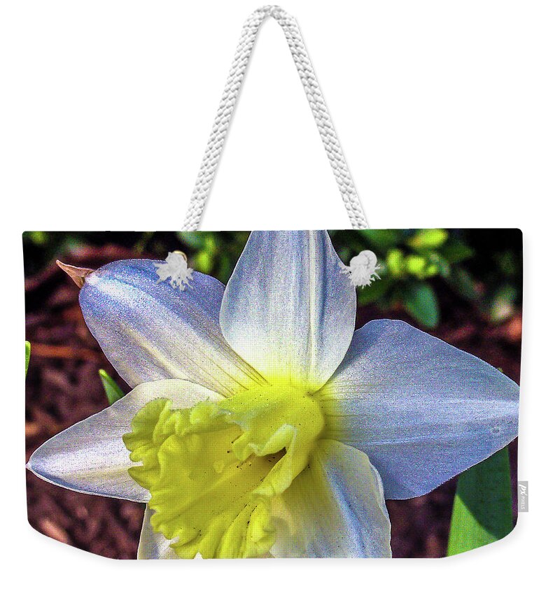 Daffodils Weekender Tote Bag featuring the photograph Spring Daffodil Flowers by Louis Dallara