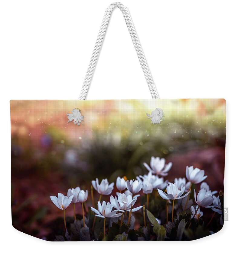 Spring Flowers Weekender Tote Bag featuring the photograph Spring flowers 6 by Lilia S