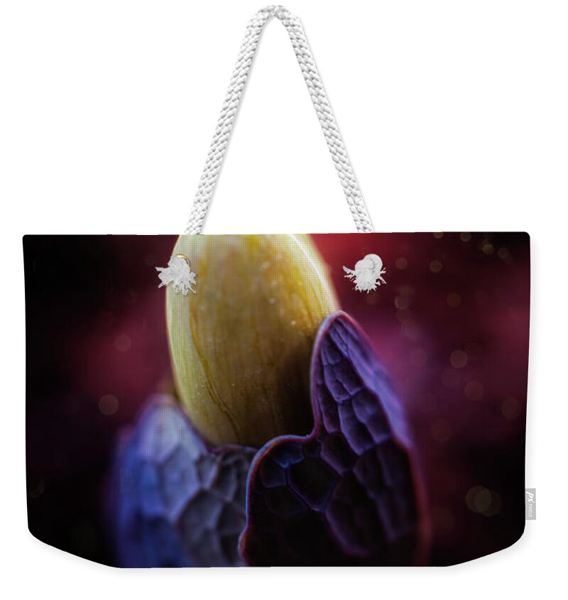 Spring Flowers Weekender Tote Bag featuring the photograph Spring Flowers 9 by Lilia S