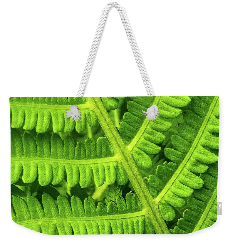 Green Weekender Tote Bag featuring the photograph Spring greenery by Robert Miller