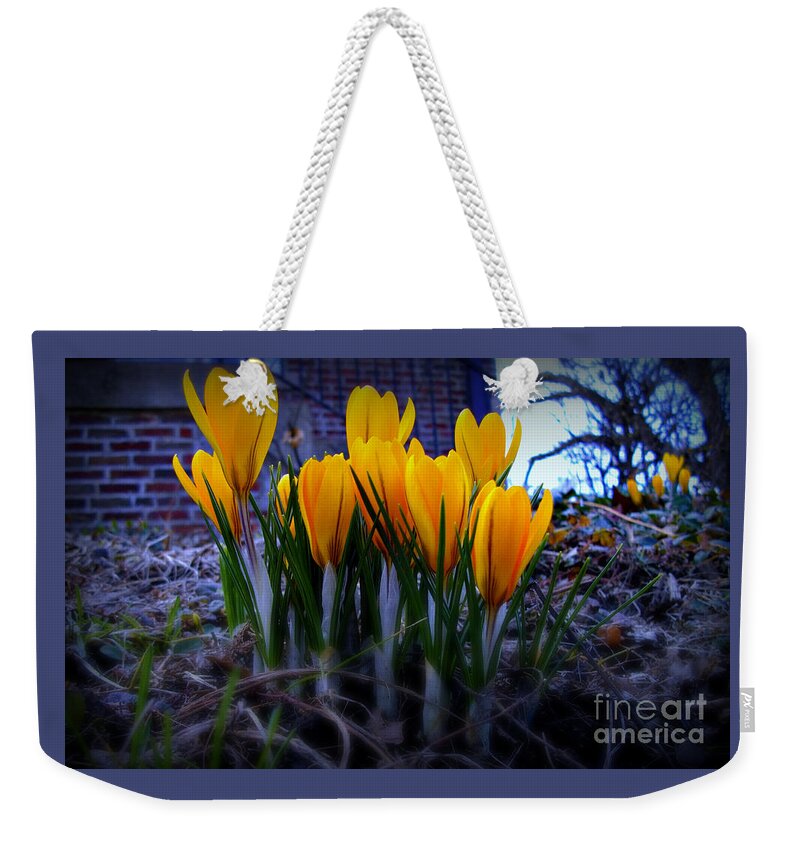 Crocus Blooms Weekender Tote Bag featuring the photograph Spring Has Sprung by Frank J Casella