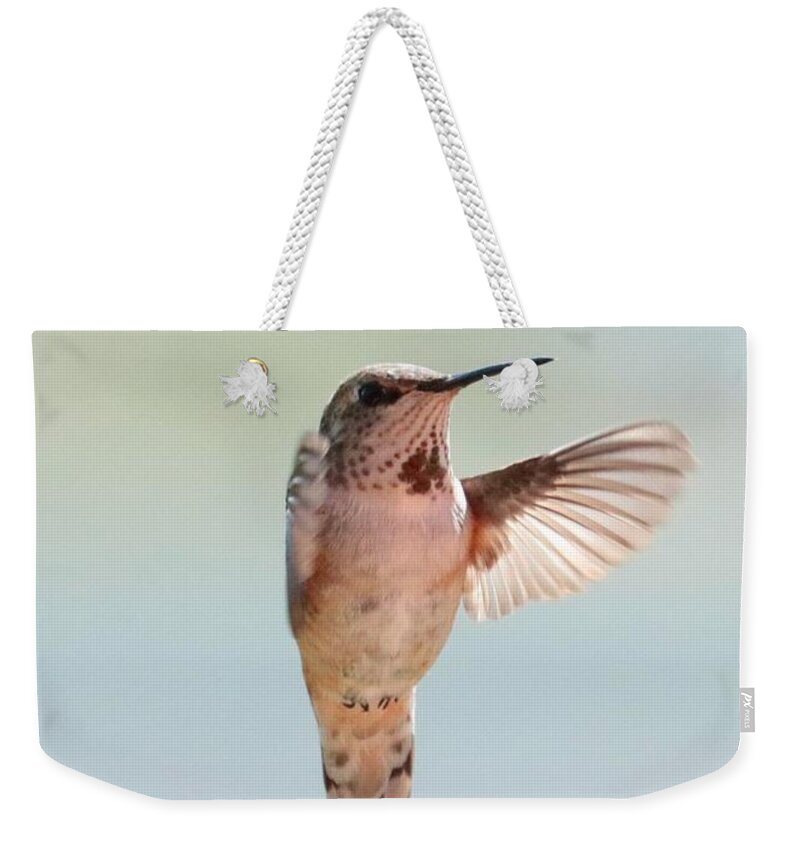 Hummingbird Weekender Tote Bag featuring the photograph Spring Hug Hummingbird by Carol Groenen