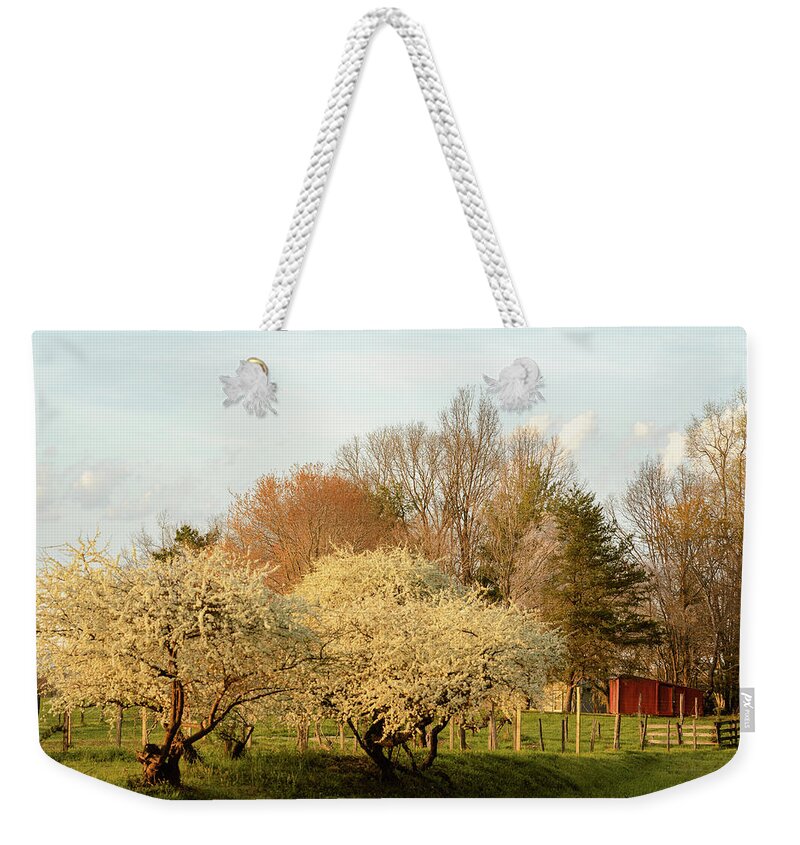Chicksaw Plum Weekender Tote Bag featuring the photograph Spring is Here by Joni Eskridge