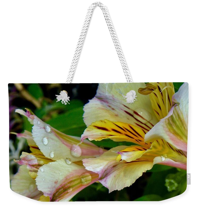 Flowers Weekender Tote Bag featuring the photograph Two Blooms by Kerry Obrist