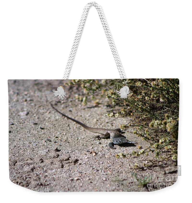 Lizard Weekender Tote Bag featuring the photograph Spring Lizard Coachella Valley Wildlife Preserve by Colleen Cornelius