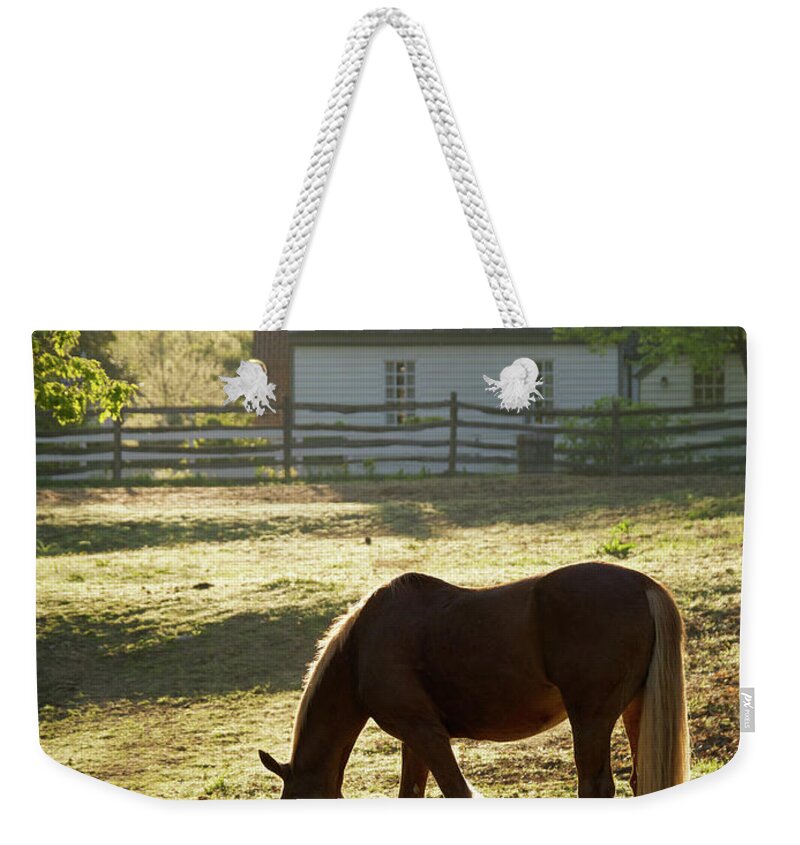 Colonial Williamsburg Weekender Tote Bag featuring the photograph Spring Morning in Colonial Williamsburg by Rachel Morrison