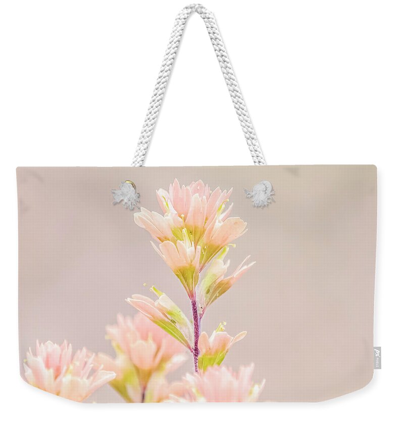 Spring Weekender Tote Bag featuring the photograph Spring Palette by Holly Ross