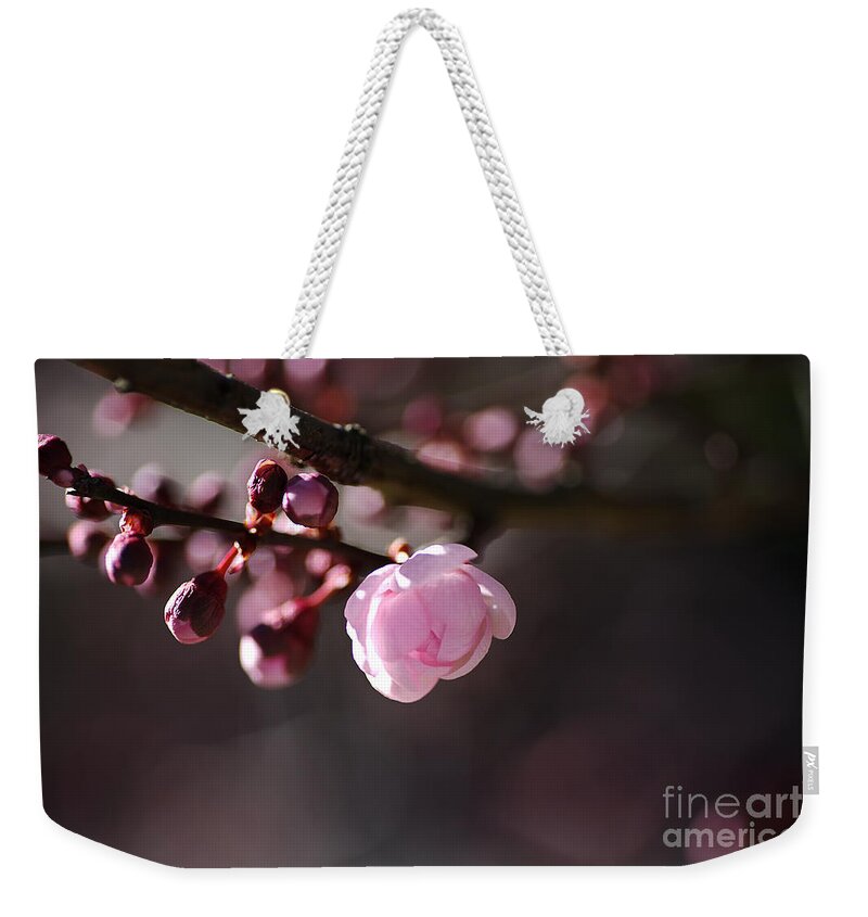 Floral Weekender Tote Bag featuring the photograph Spring Pink Blossom by Joy Watson
