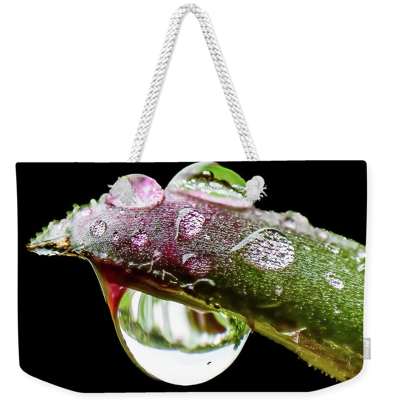 Close Weekender Tote Bag featuring the photograph Spring Rain by Brian Shoemaker