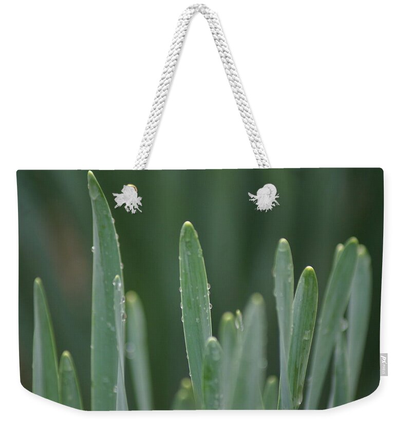 Water Weekender Tote Bag featuring the photograph Spring Rain by Heather E Harman