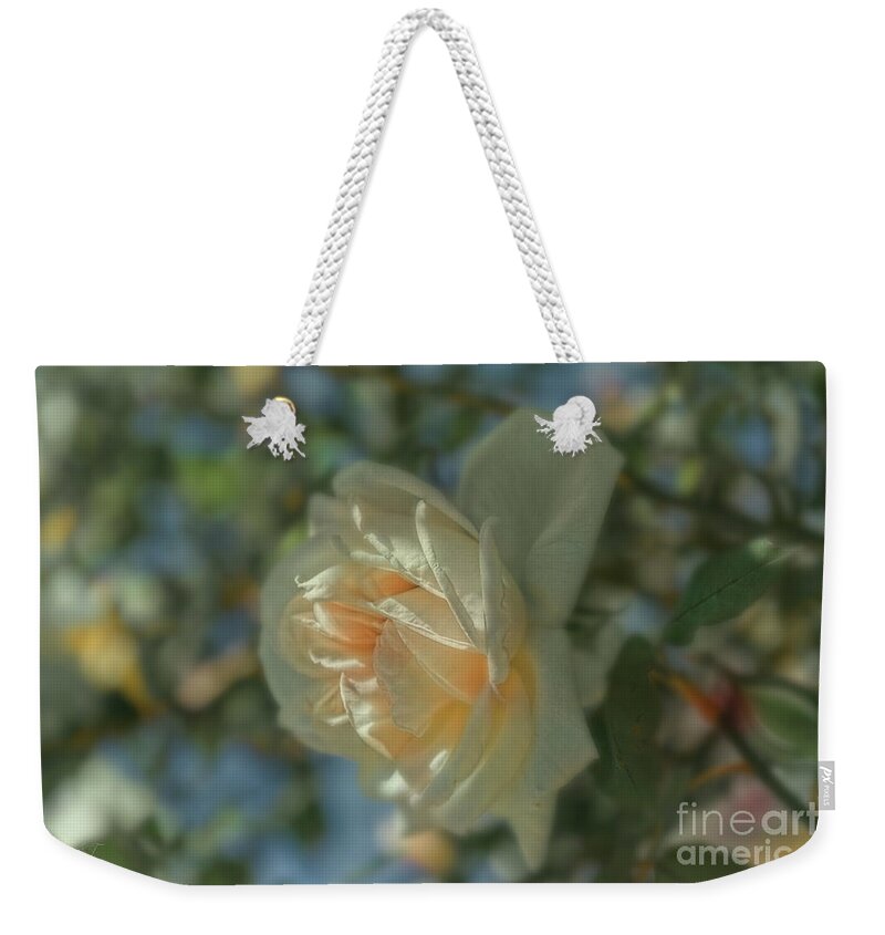 Rose Weekender Tote Bag featuring the photograph Spring Rose by Elaine Teague