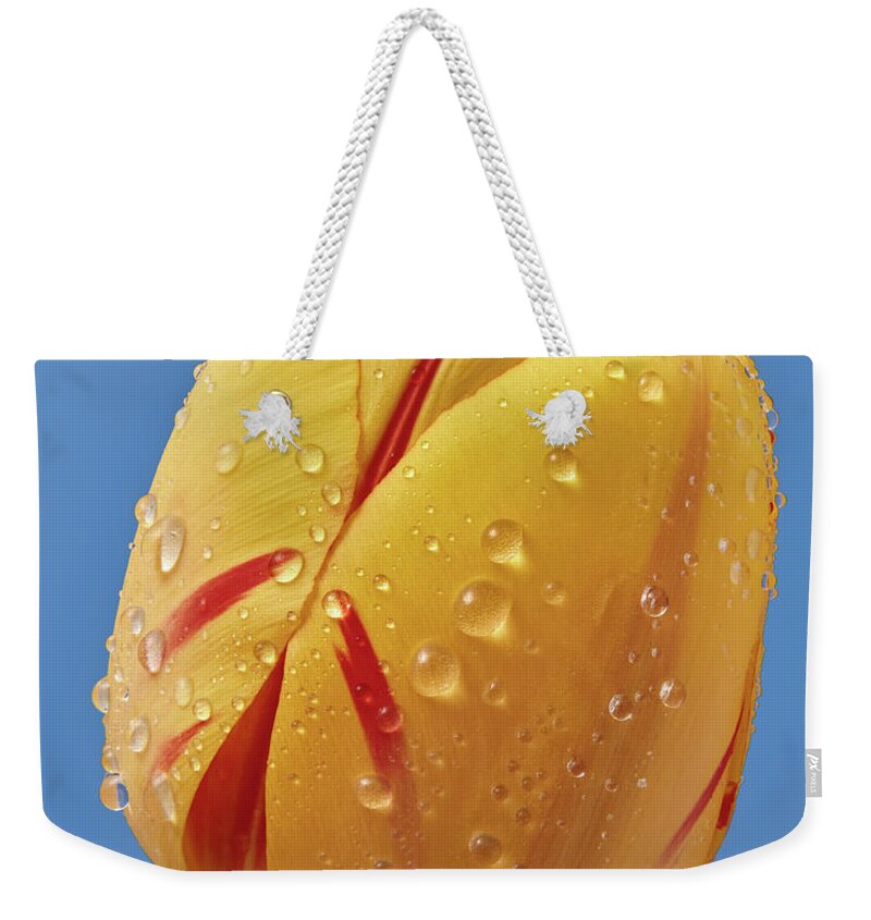 Tulip Weekender Tote Bag featuring the photograph Spring Tulip 3 by Jim Hughes
