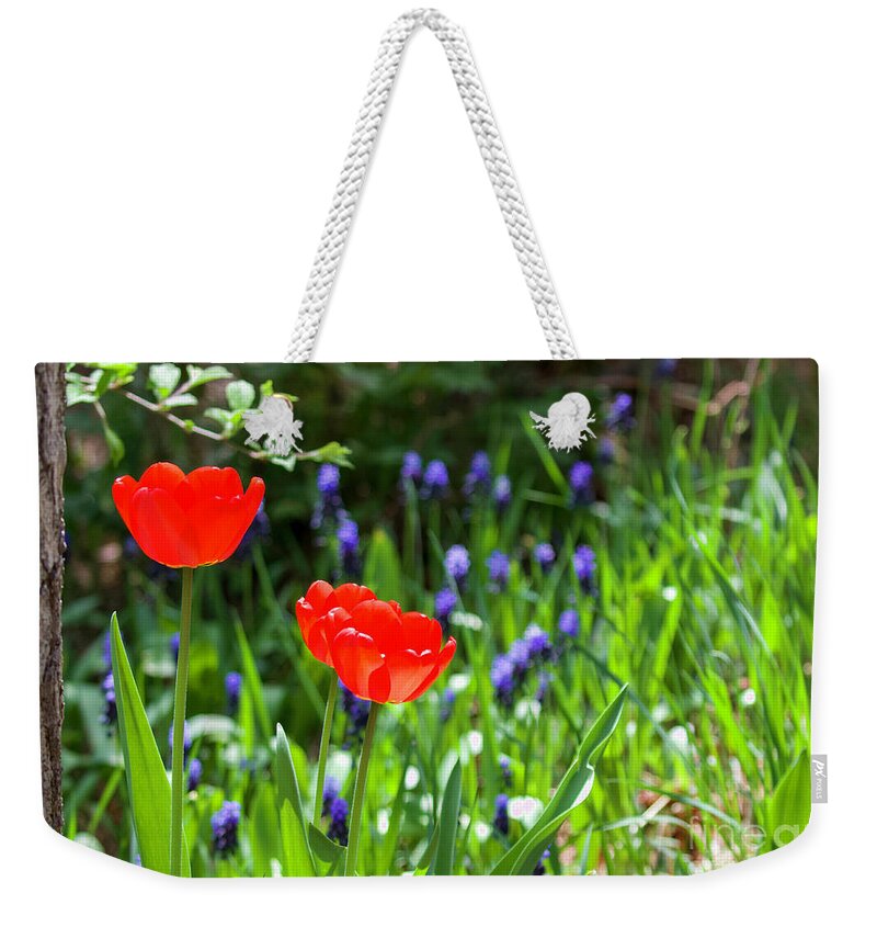 Spring Tulips Weekender Tote Bag featuring the photograph Spring Tulips by Shirley Dutchkowski