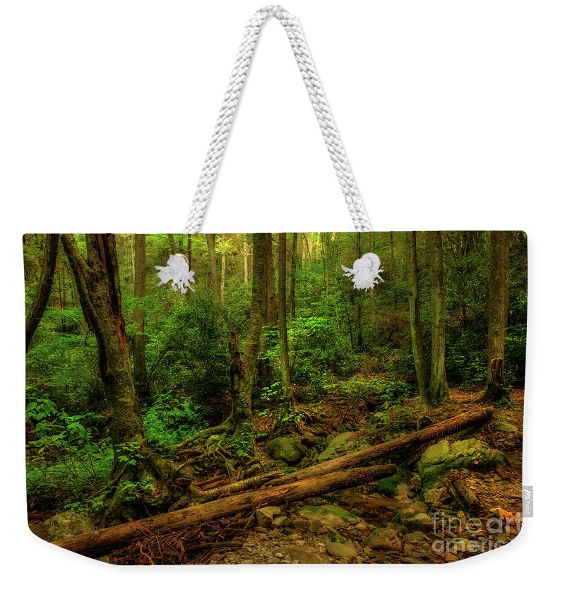 Forest; Trees; Woods; Cherokee National Forest; Tennessee; Northeast Tennessee; Trail; Nature; Shelia Hunt; Shelia Hunt Photography; Nature Photography; Outdoor; Outdoors; Hike; Hiking; Mountain; Mountains; Rock; Rocks; Spring; Springtime; Us; Usa Weekender Tote Bag featuring the photograph Springtime in the Cherokee National Forest by Shelia Hunt