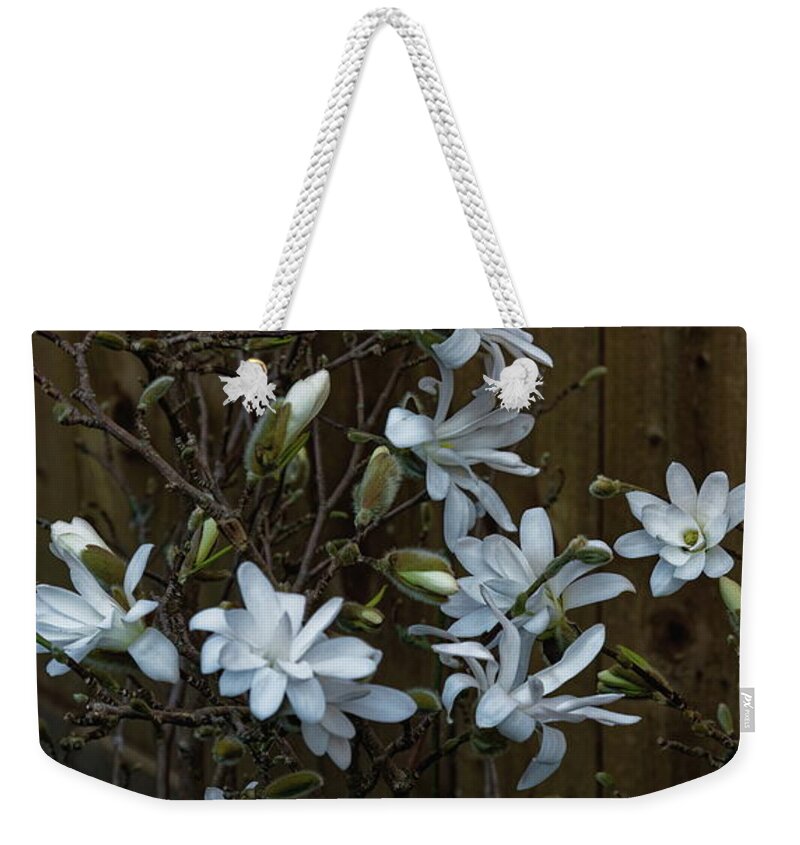 Magnolia Weekender Tote Bag featuring the photograph Springtime Magnolia by Jeff Townsend