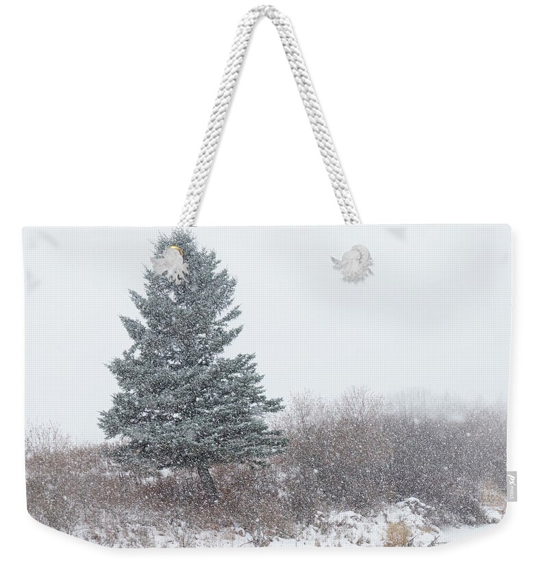 Snow Weekender Tote Bag featuring the photograph Spruce tree on a snowy day by Karen Rispin