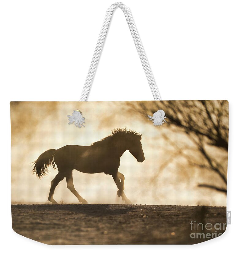 Stallion Weekender Tote Bag featuring the photograph Stallion Pose by Shannon Hastings