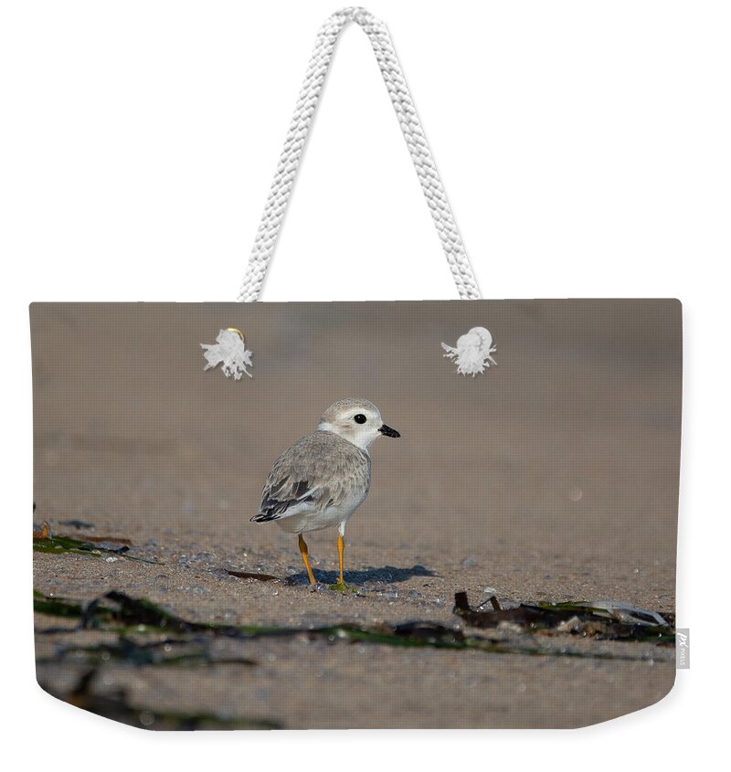 Shorebird Weekender Tote Bag featuring the photograph Standing on Sparkle by Linda Bonaccorsi