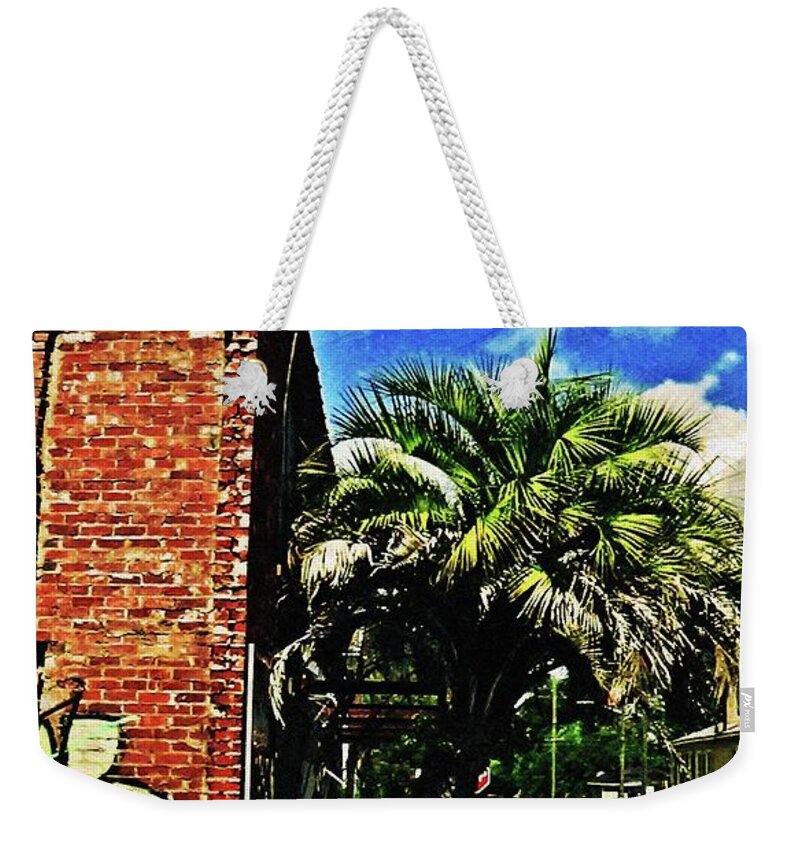 Earth Day Weekender Tote Bag featuring the photograph Standing Strong between Rocks and Hard Places by Aberjhani