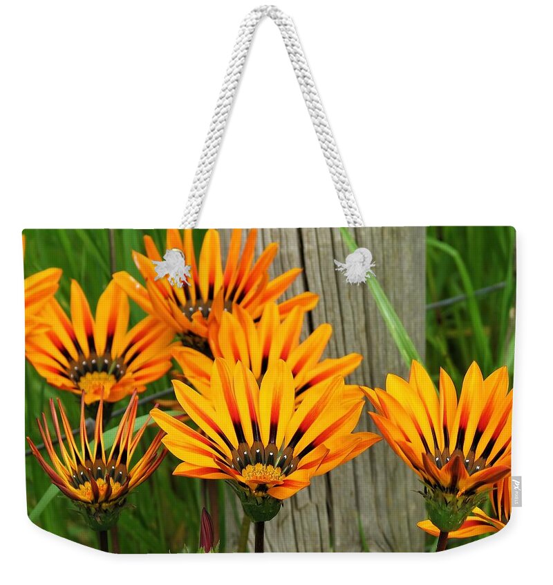 Daisy Weekender Tote Bag featuring the photograph Standing to Attention by Joan Stratton