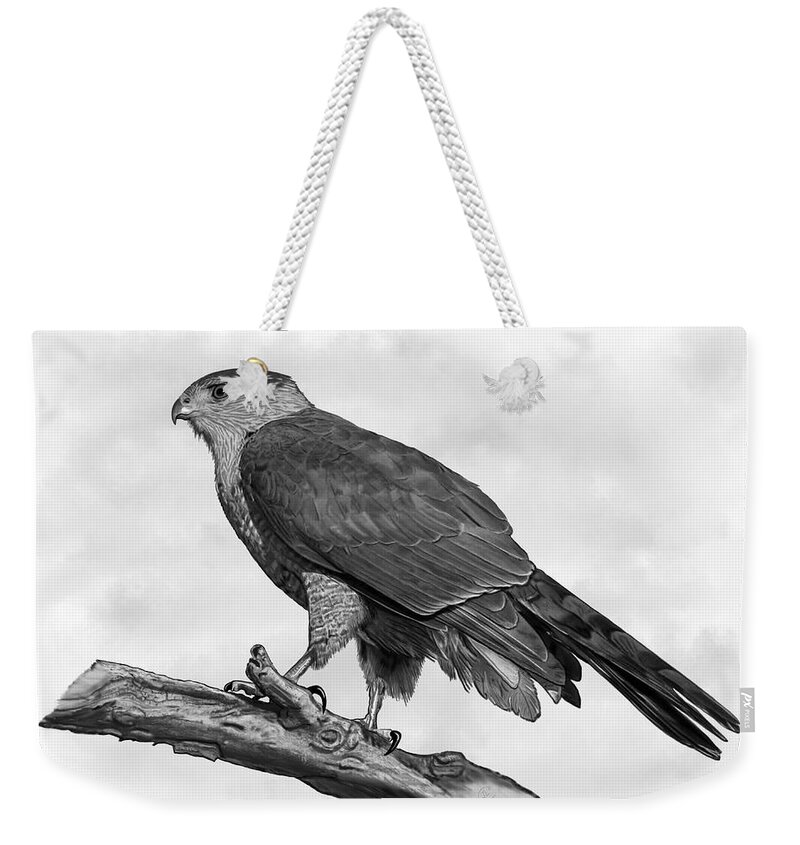 Hawk Weekender Tote Bag featuring the mixed media Standing Watch by Judy Cuddehe