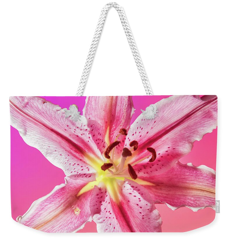 Lily Weekender Tote Bag featuring the photograph Stargazer Lily by Dario Impini