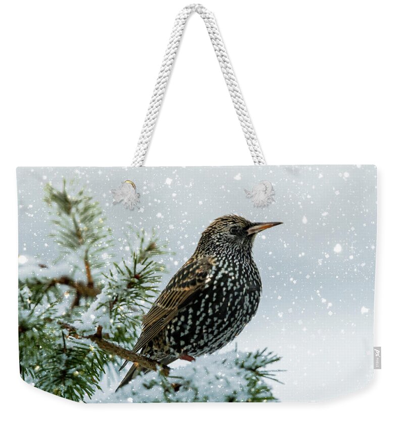 Bird Weekender Tote Bag featuring the photograph Starling In Snow by Cathy Kovarik