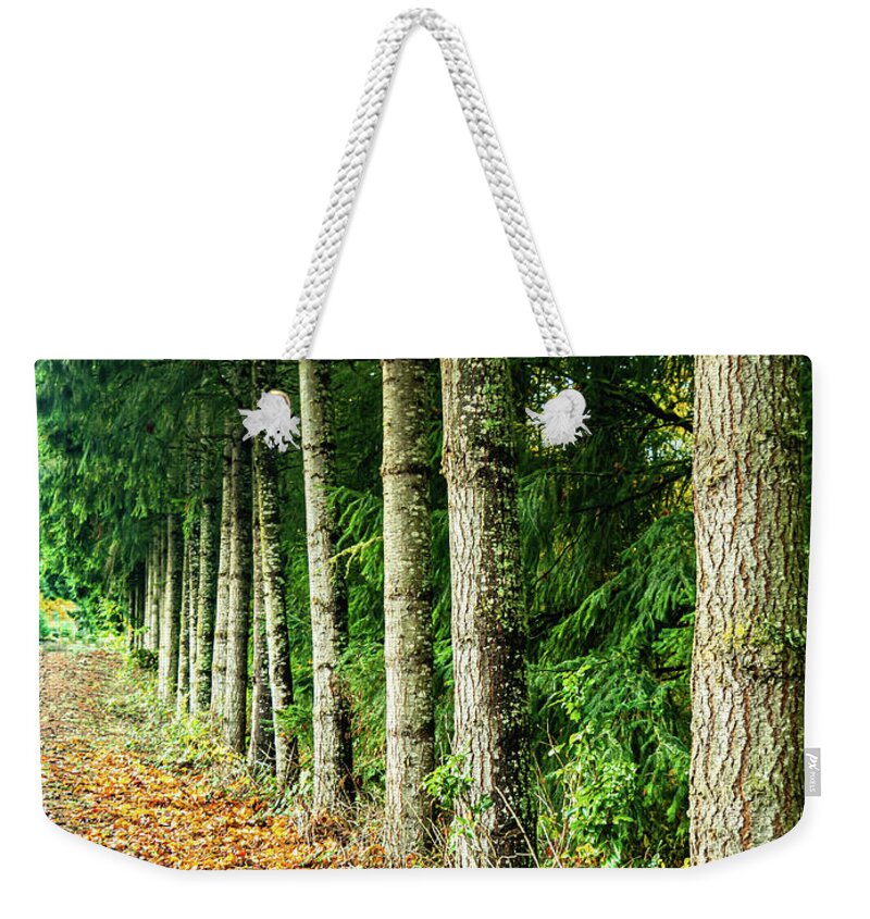Fall Weekender Tote Bag featuring the photograph Leading Lines by Leslie Struxness