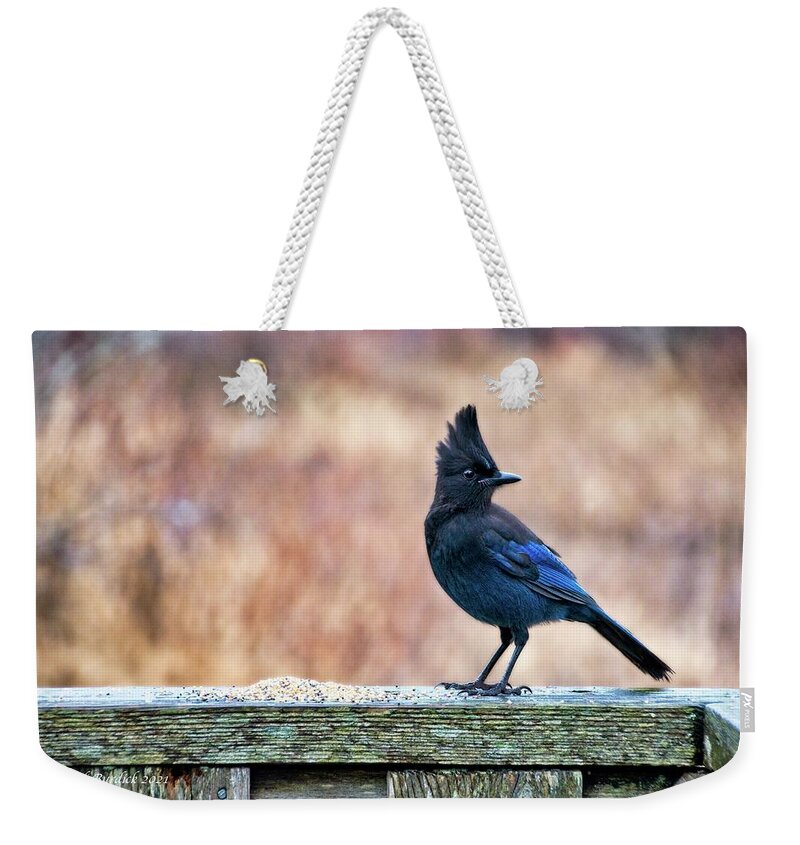 Birds Weekender Tote Bag featuring the photograph Steller's Jay by Chuck Burdick