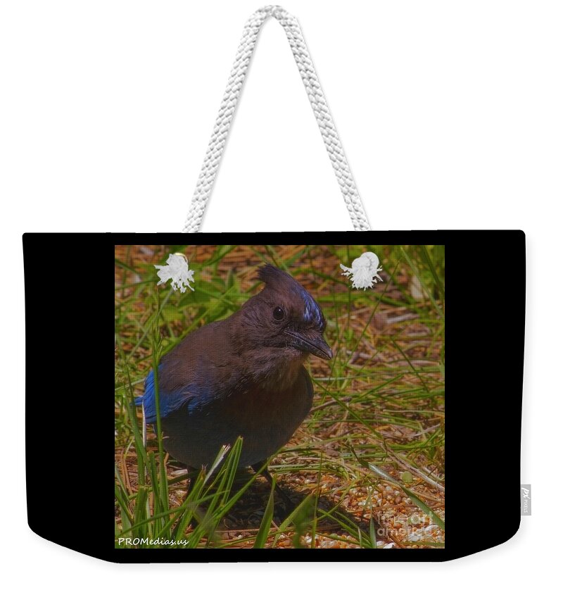 Steller's Jay Weekender Tote Bag featuring the photograph Steller's Jay by PROMedias US