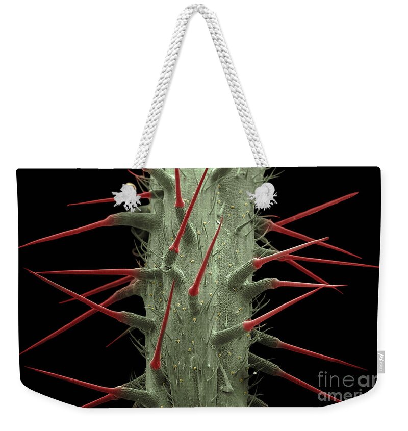 Alternative Medicine Weekender Tote Bag featuring the photograph Stinging Nettle SEM by Ted Kinsman