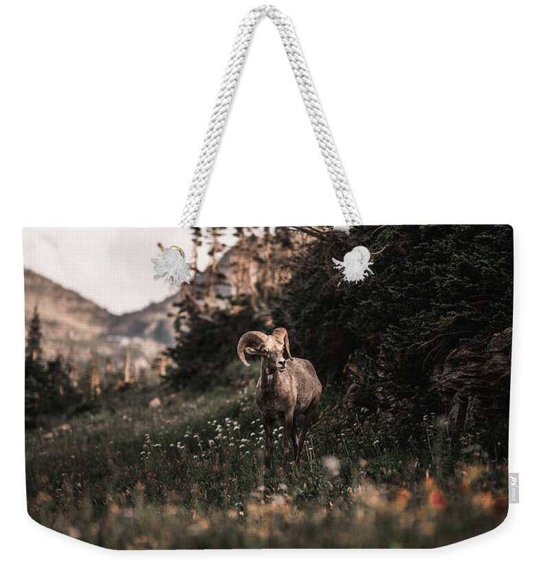  Weekender Tote Bag featuring the photograph Stoic Bighorn by William Boggs