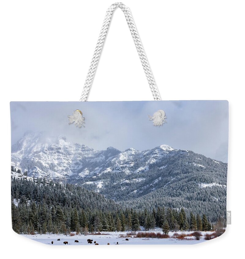 Yellowstone National Park Weekender Tote Bag featuring the photograph Storm in Yellowstone by Cheryl Strahl